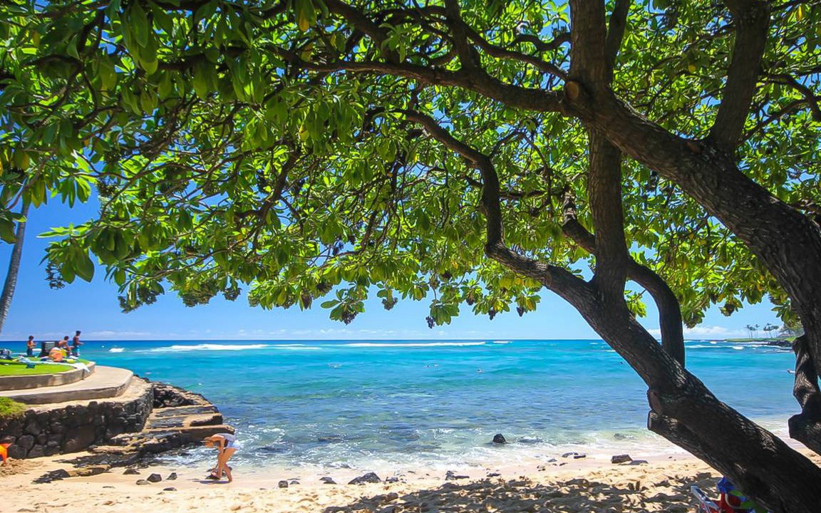 Photo of Others in Poipu