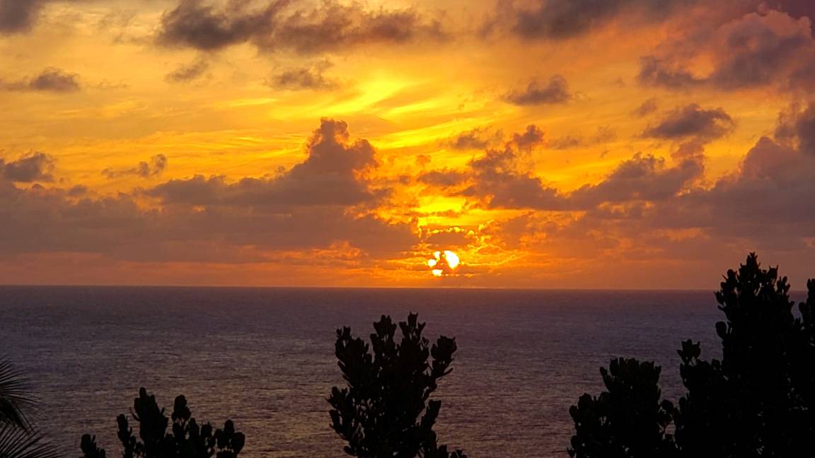 Photo of Others in Princeville
