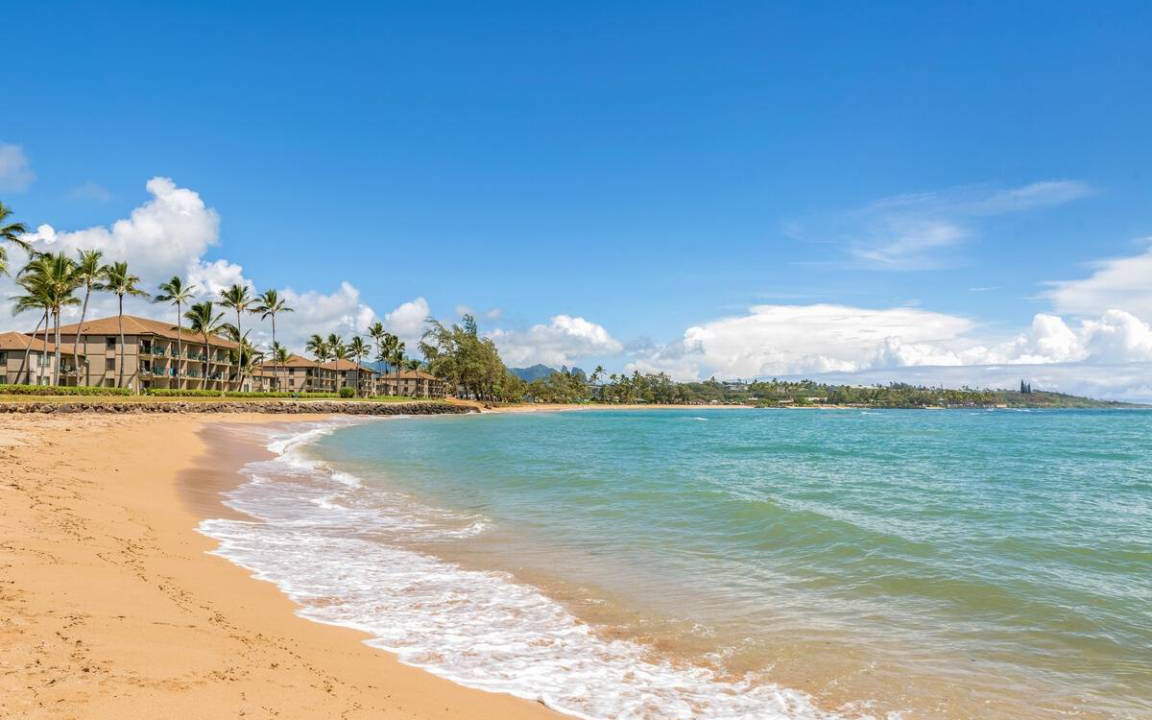 Photo of Others in Kapaa