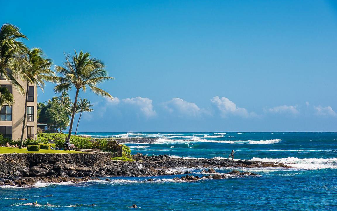 Photo of Others in Poipu