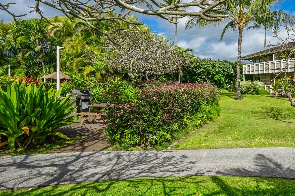 Photo of Others in Wailua