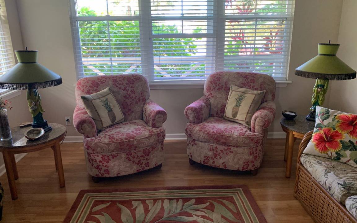 Photo of Livingroom in Princeville