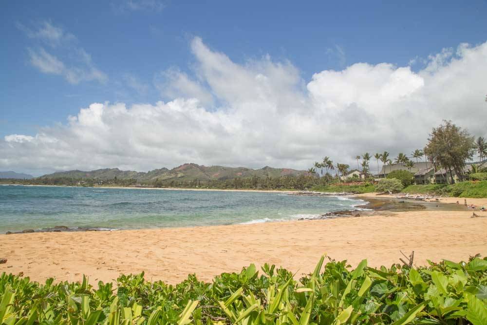 Photo of Others in Wailua