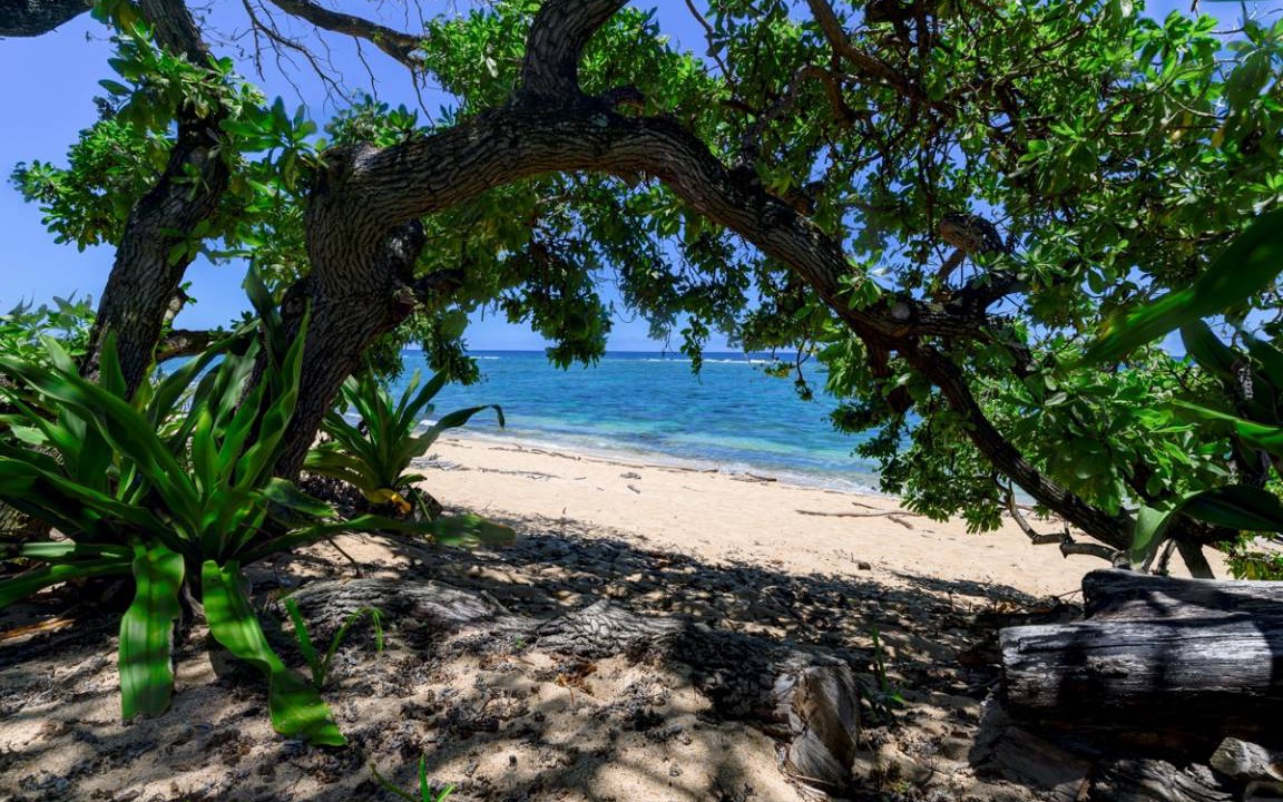 Photo of Others in Wainiha