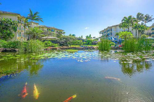 Photo of Others in Wailua
