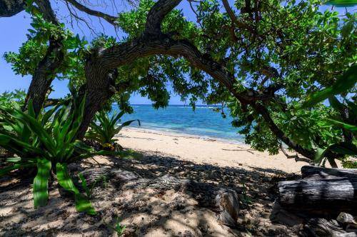 Photo of Others in Wainiha