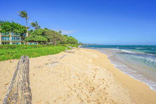 Photo of Others in Wailua