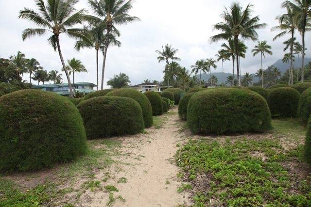 Photo of Others in Hanalei