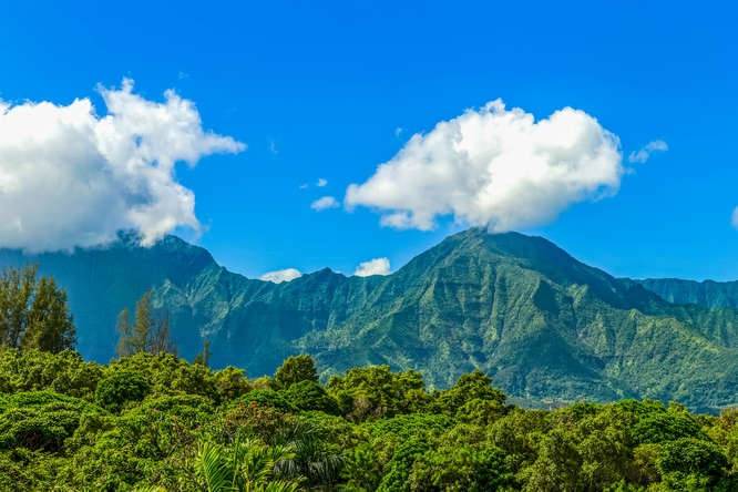 Photo of Others in Princeville