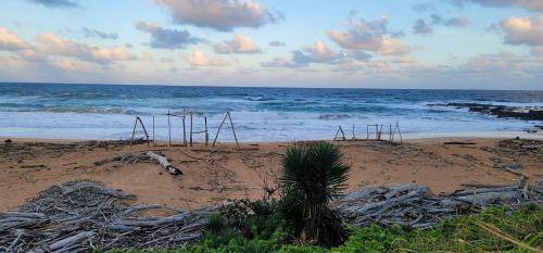 Photo of Others in Kapaa