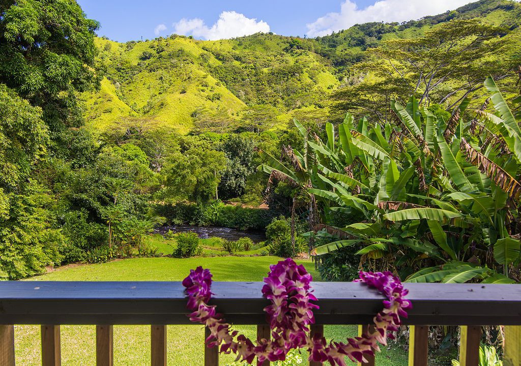 Photo of Others in Wainiha