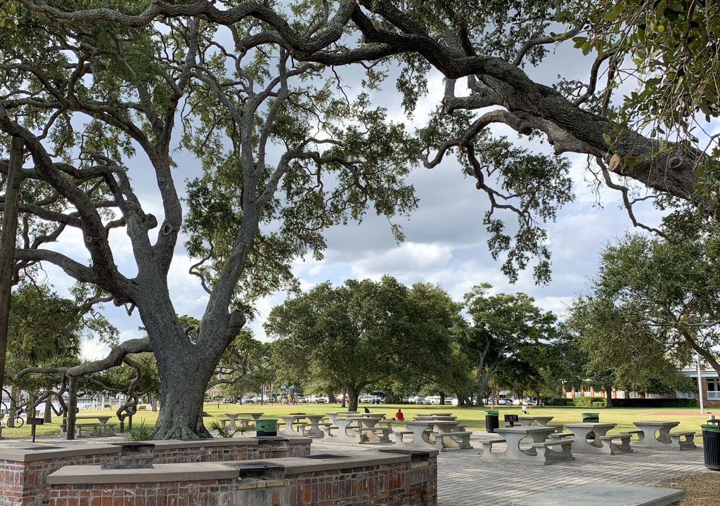 Photo of Others in St. Simons Island