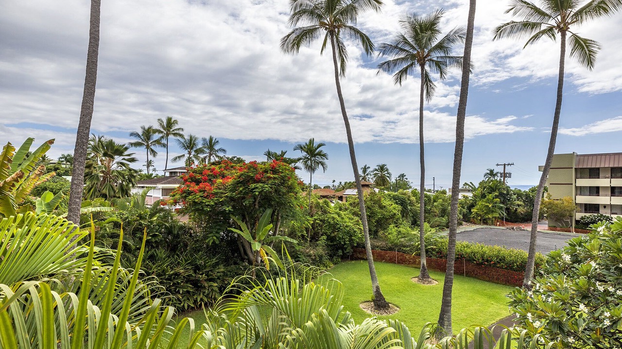 Photo of Outdoor in Kahaluu Bay