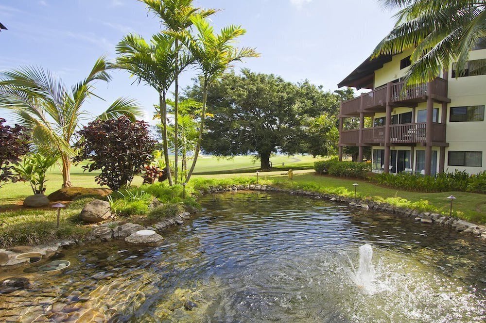 Photo of Outdoor in Kaiulani