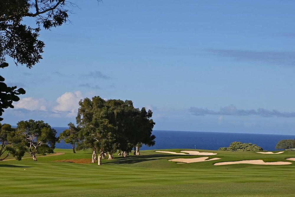 Photo of Others in Kaiulani