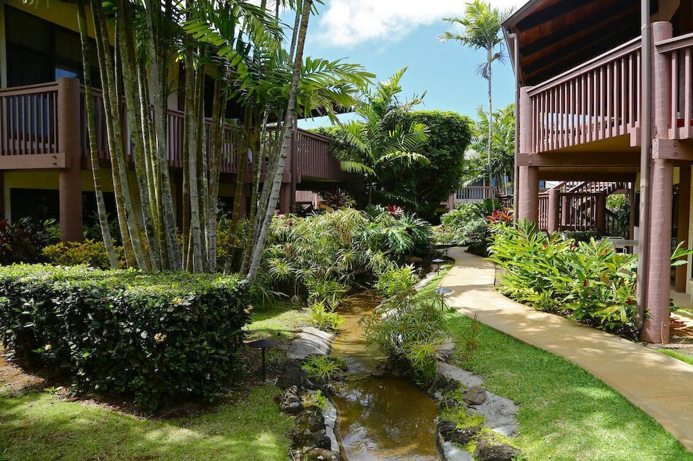 Photo of Outdoor in Kaiulani