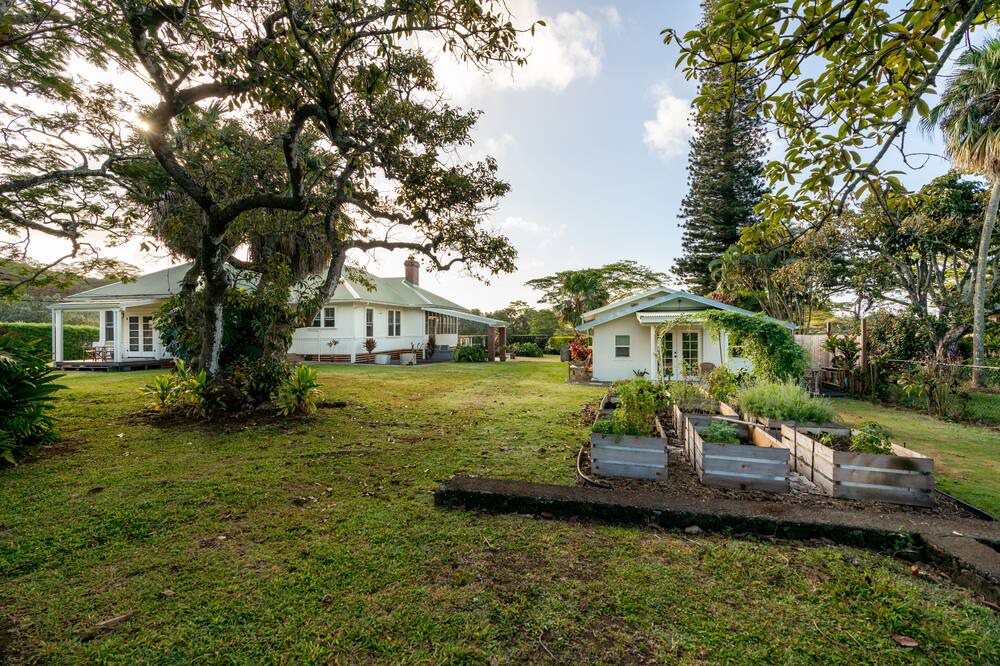 Photo of Others in Koloa