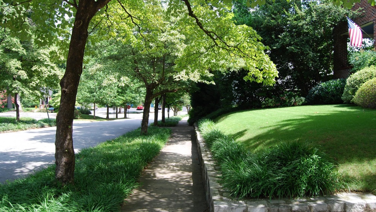 Photo of Others in Brookwood