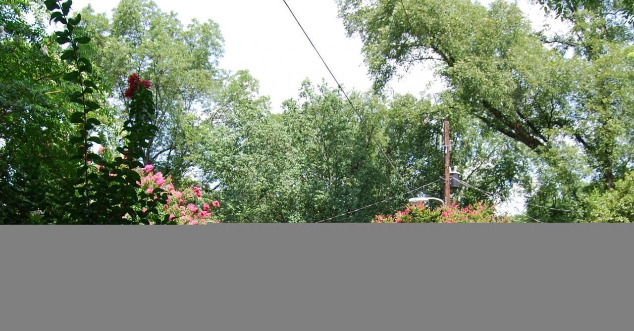Photo of Others in Brookwood