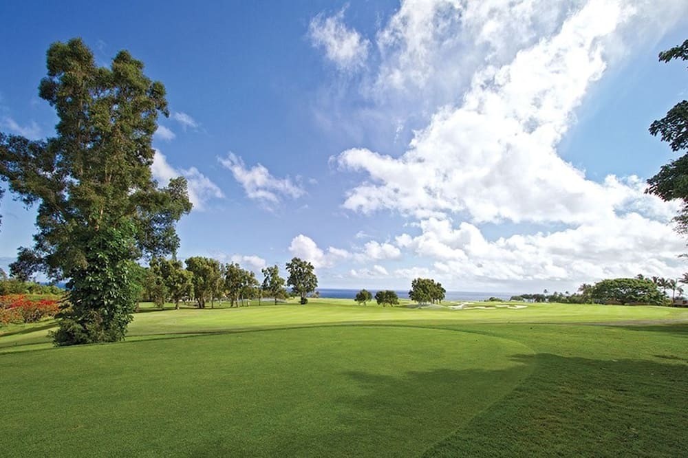 Photo of Others in Kaiulani