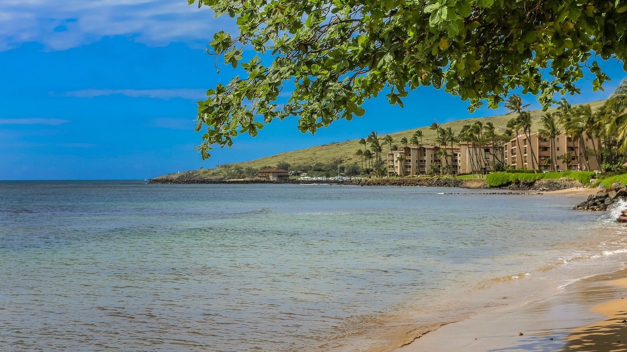 Photo of Others in Maalaea