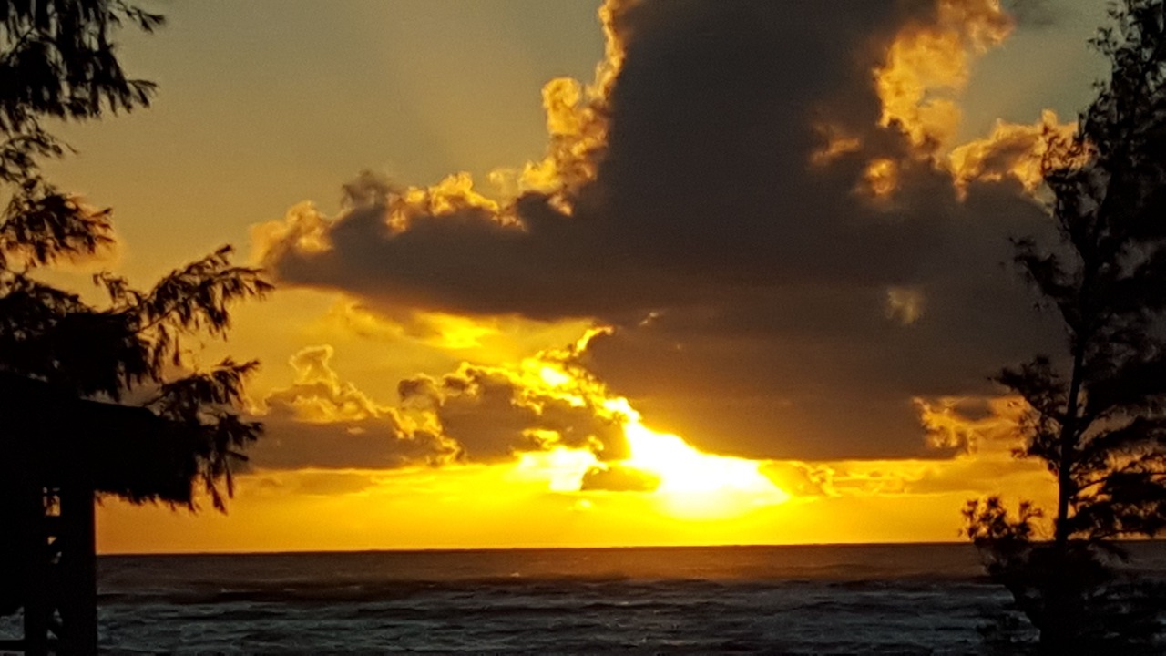 Photo of Others in Kapaa
