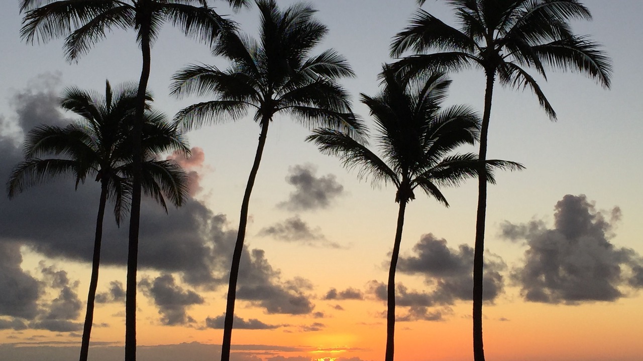 Photo of Others in Kapaa