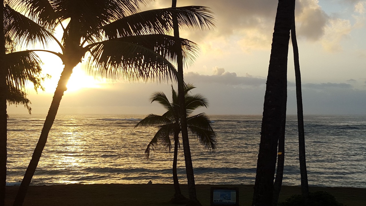Photo of Others in Kapaa
