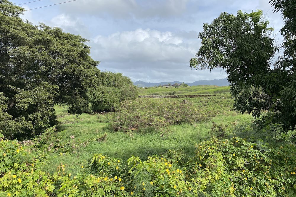 Photo of Others in Poipu