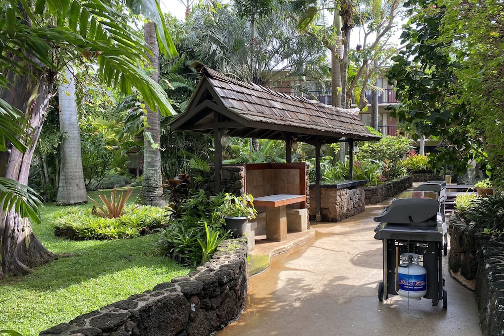 Photo of Others in Poipu