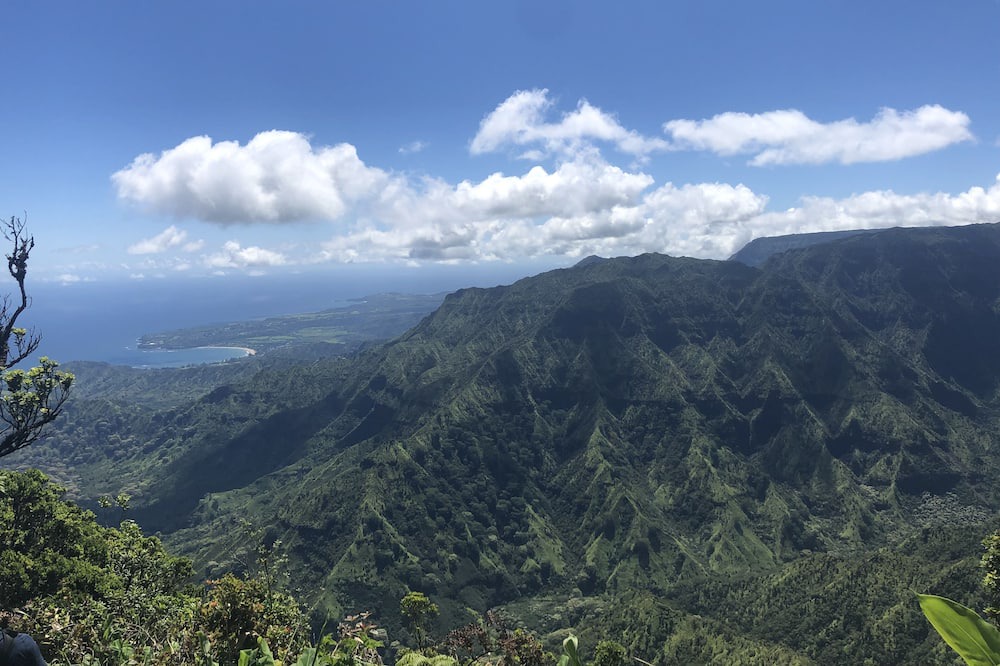 Photo of Others in Poipu