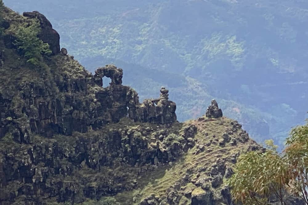Photo of Others in Poipu