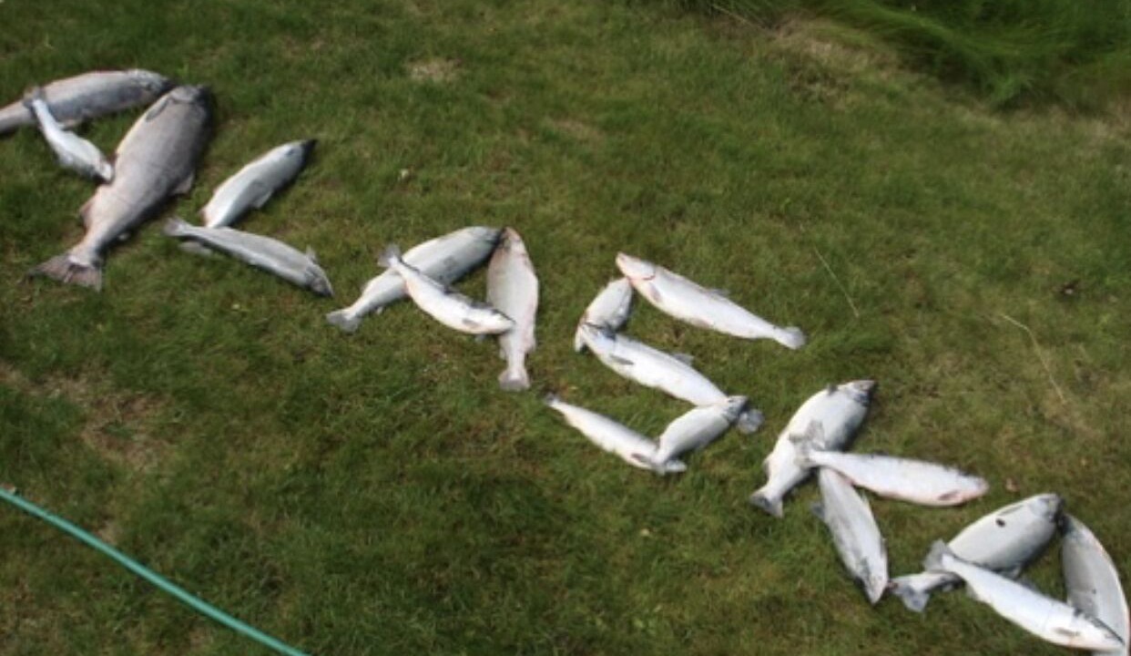 Photo of Outdoor in Homer