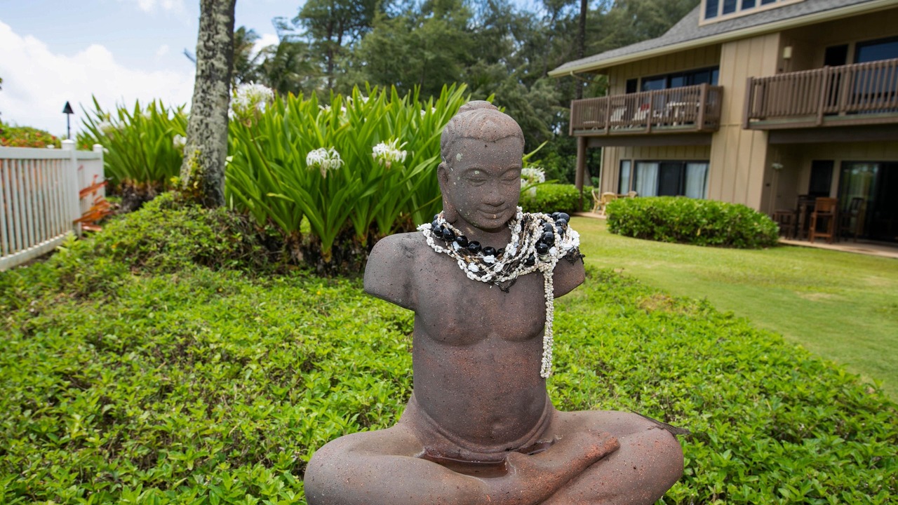 Photo of Others in Lihue