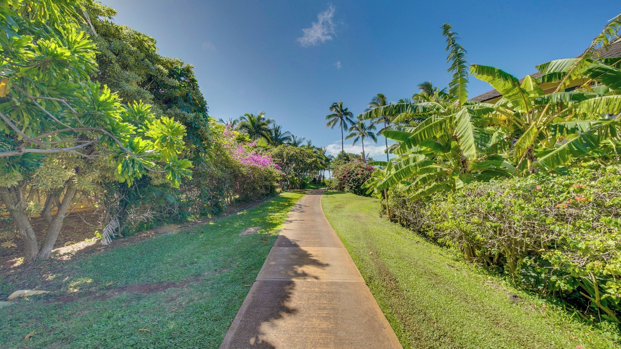 Photo of Others in Poipu