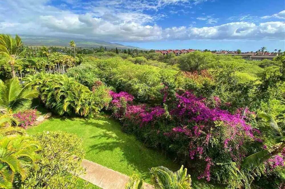 Photo of Outdoor in Kihei