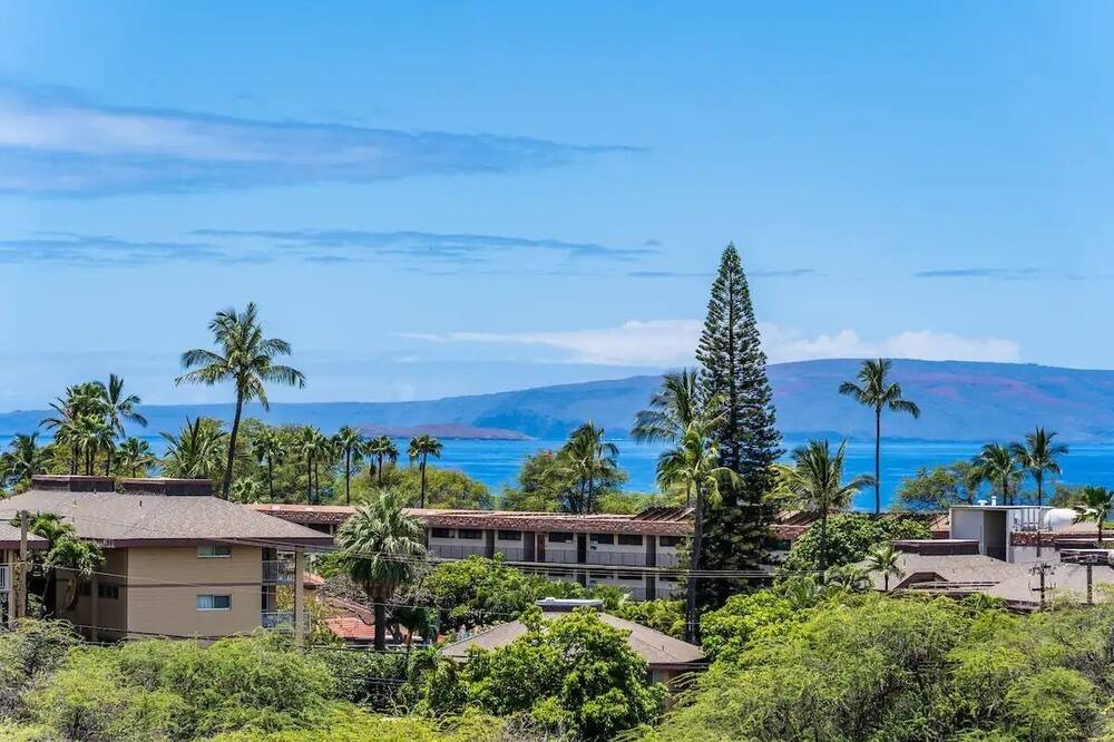 Photo of Outdoor in Kihei