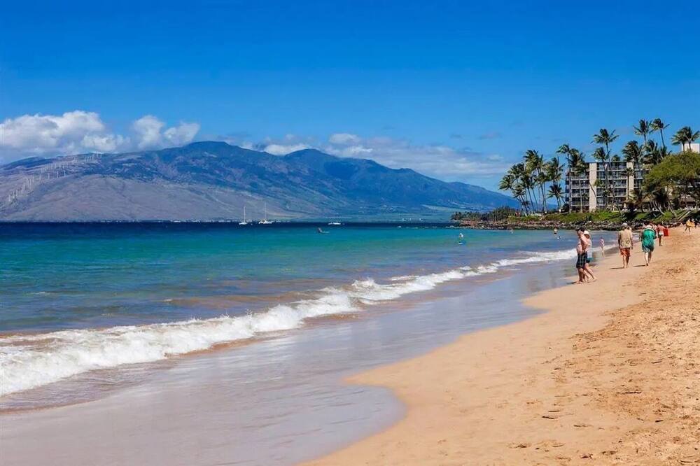 Photo of Others in Kihei