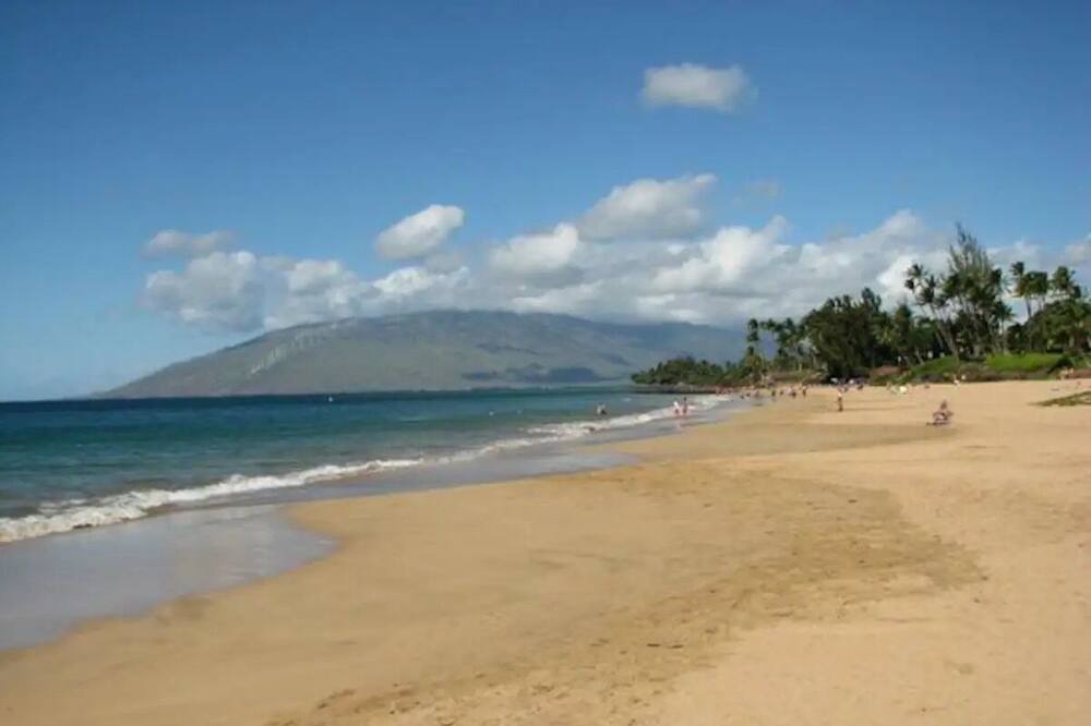 Photo of Others in Kihei