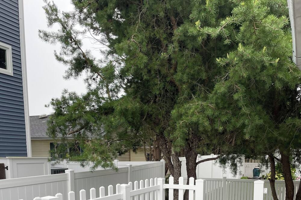 Photo of Outdoor in Caine Woods