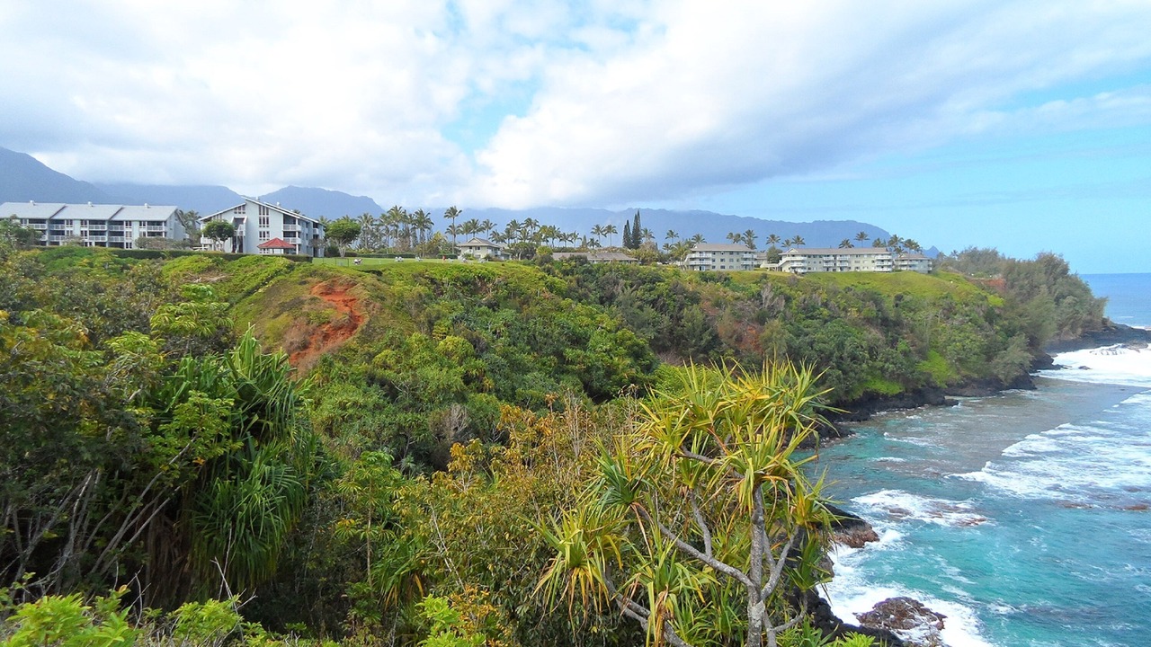 Photo of Outdoor in Princeville