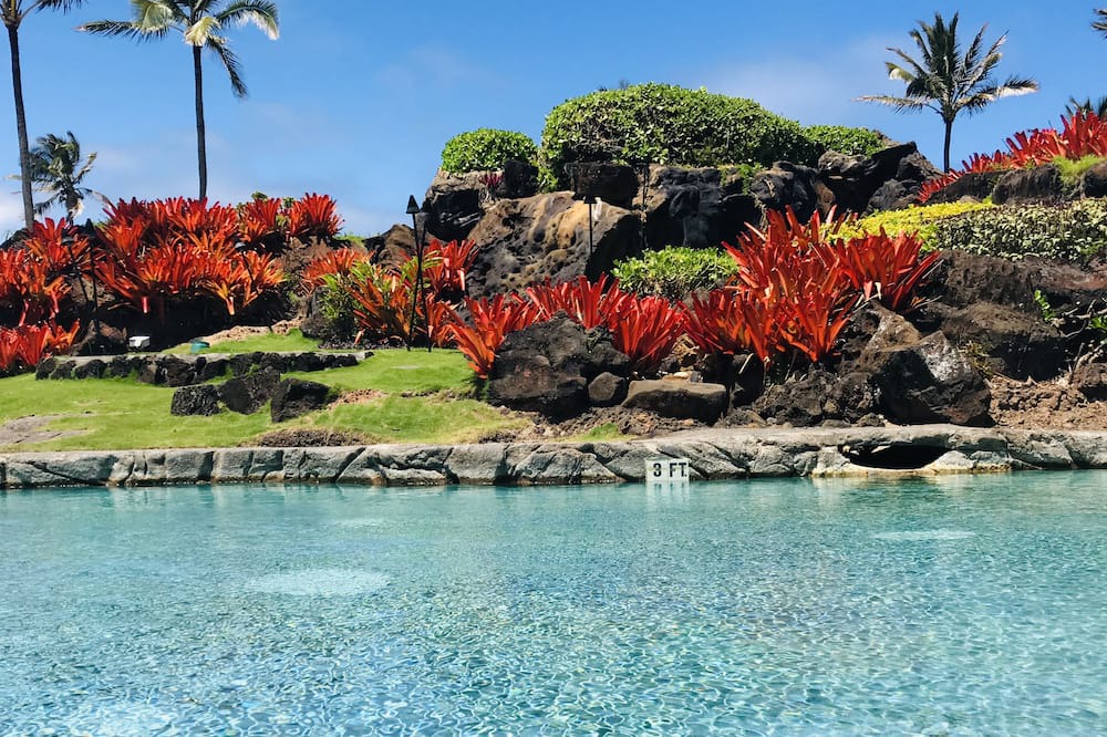 Photo of Outdoor in Hanamaulu