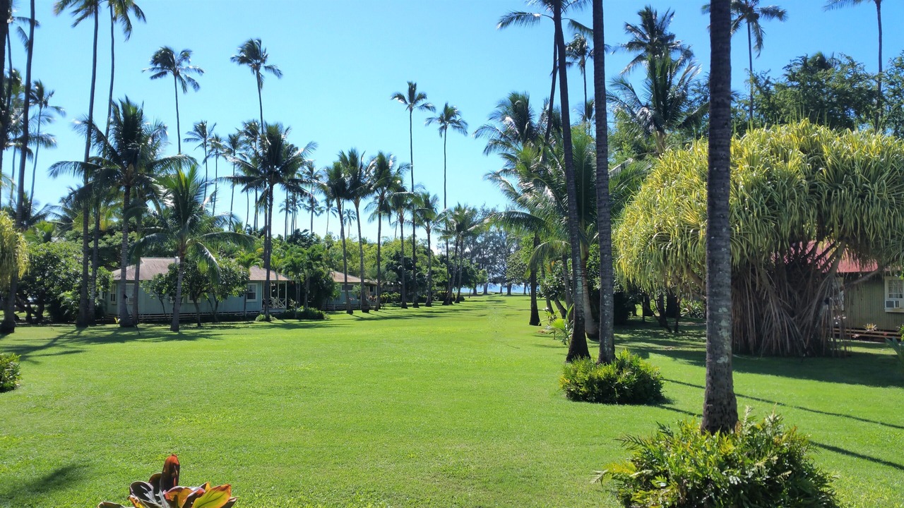 Photo of Outdoor in Waimea