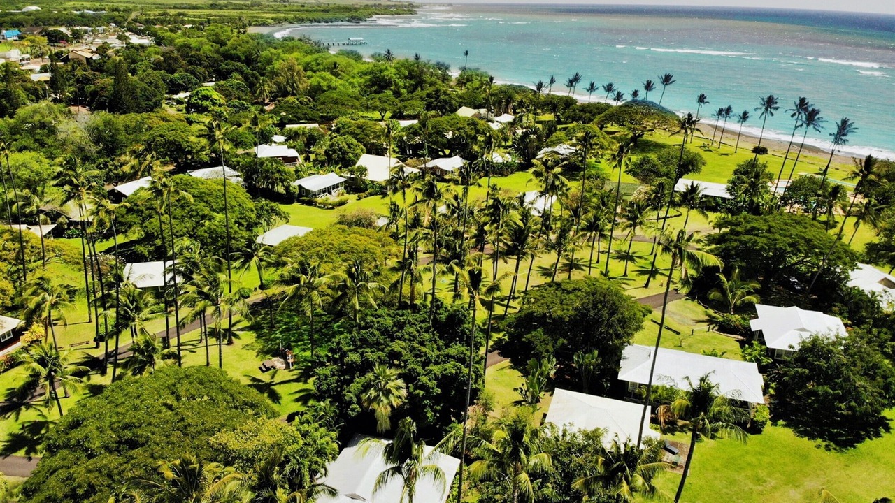 Photo of Others in Waimea