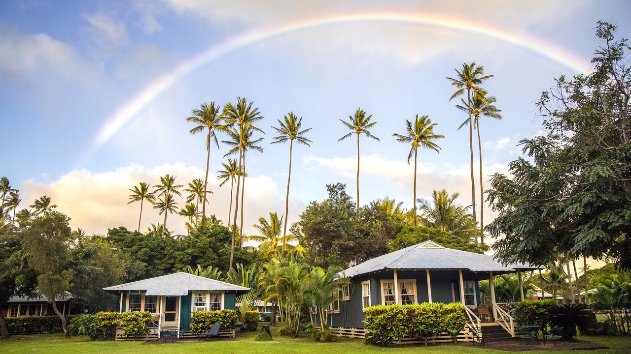 Photo of Outdoor in Waimea