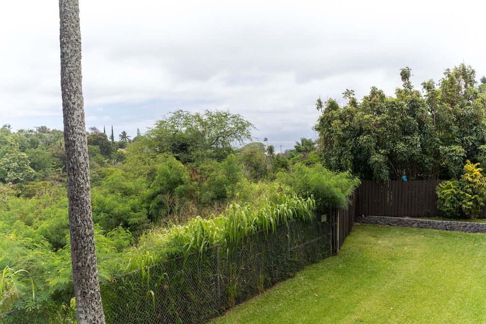 Photo of Outdoor in Napili