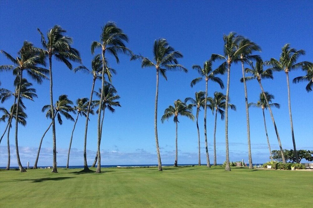 Photo of Others in Poipu