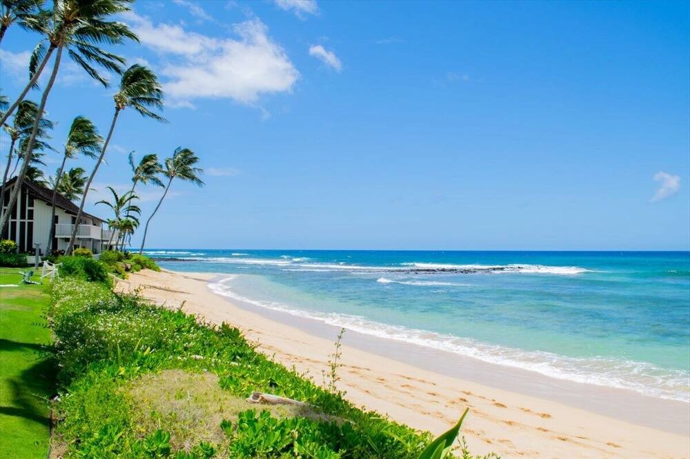 Photo of Others in Poipu