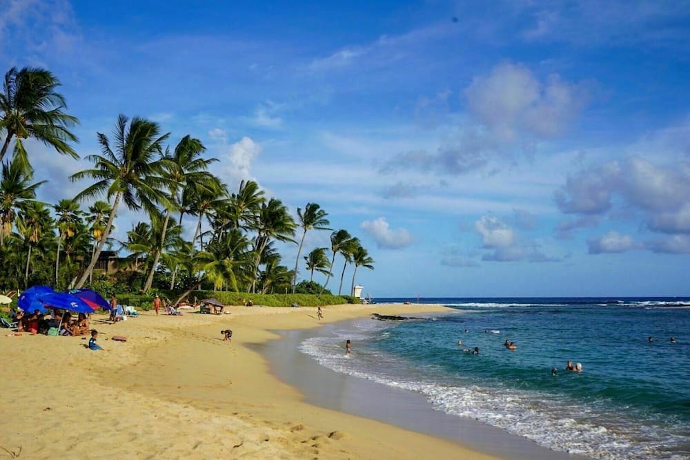 Photo of Others in Poipu