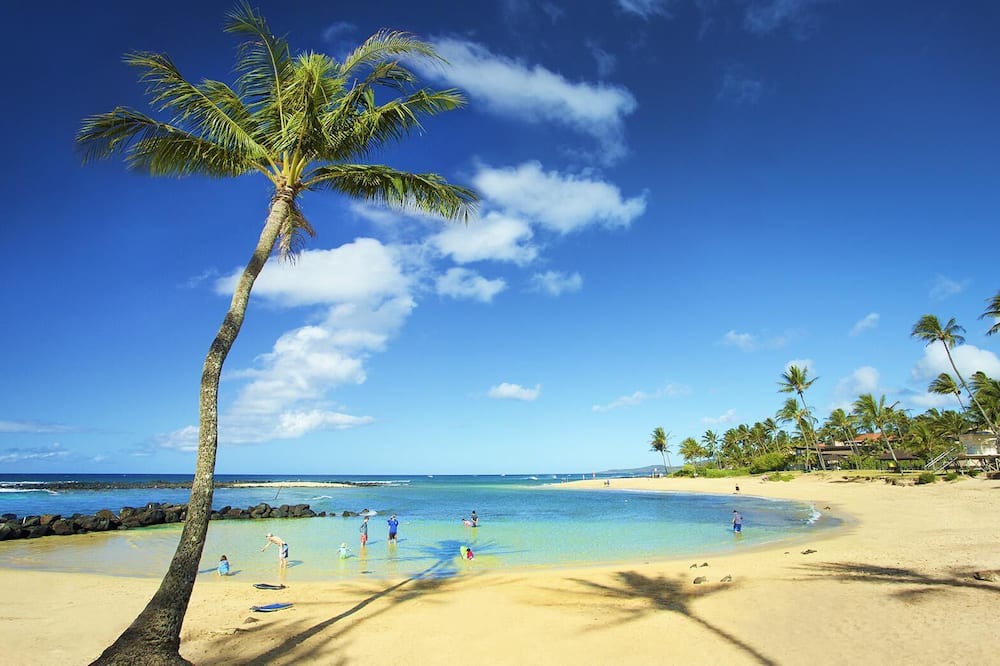 Photo of Others in Poipu